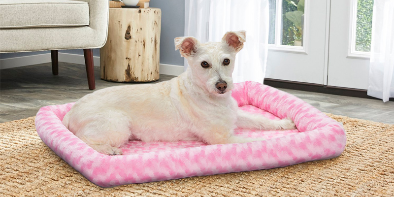 Review of MidWest Homes for Pets Bolster Pet Bed
