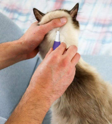 Bayer Advantage II Flea Prevention for Cats - Bestadvisor