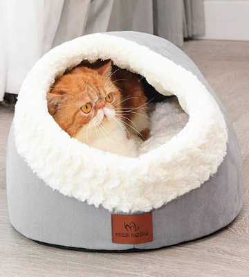 Miss Meow Cat Bed Round and Cave Shape - Bestadvisor