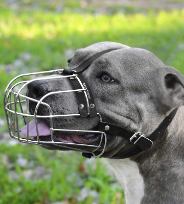 BRONZEDOG Metal Mask Dog Muzzle for Large Dogs - Bestadvisor