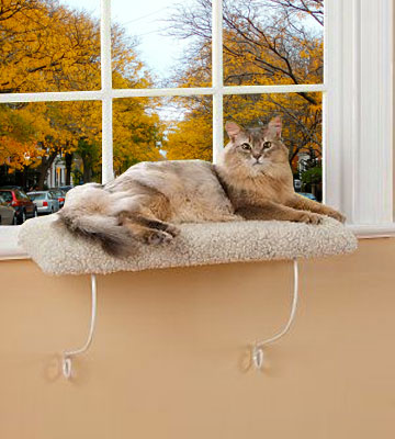 Lazy Pet Deluxe Cat Window Perch - Bestadvisor