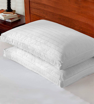 Basic Beyond 2 Pack Luxury Gusseted Goose Down Feather Pillow - Bestadvisor