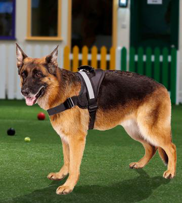 Big Dog Soft Reflective No Pull Harness - Bestadvisor