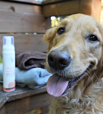 Paw Choice Waterless Dry Dog Cat Shampoo - Bestadvisor