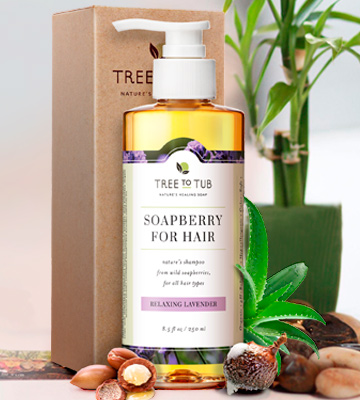 Tree to Tub SOAPBERRY FOR HAIR Shampoo for Dry Hair and Scalp - Bestadvisor