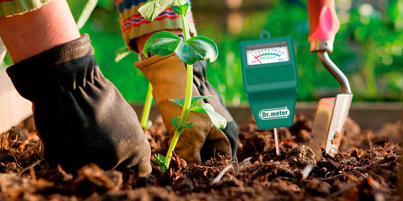 Review of Dr.Meter Moisture Meter Hygrometer Moisture Sensor for Garden, Farm, Lawn Plants Indoor & Outdoor(No Battery Needed), S10