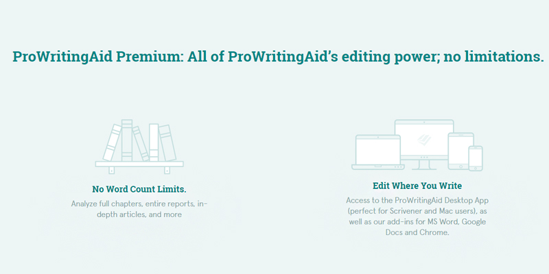 Detailed review of ProWritingAid Grammar Checker & Style Editing tool - Bestadvisor