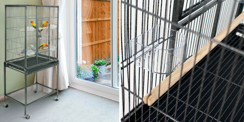 Review of Zeny 53-Inch Bird Cage with Stand Wrought Iron Construction