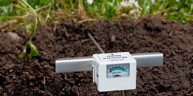 Review of REOTEMP Moisture Meter Garden and Compost (15 Inch Stem), Garden Tool Ideal for Soil, Plant, Farm and Lawn Moisture Testing