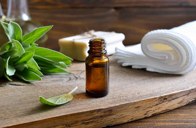 Comparison of Essential Oils for Weight Loss