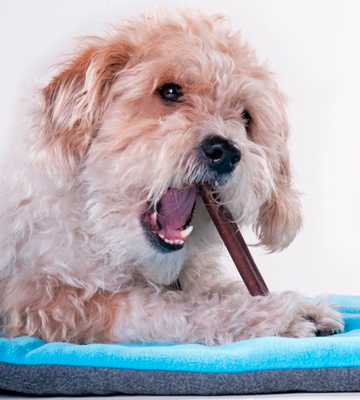 Best Bully Sticks FBA_002-0001-0662 Supreme Bully Sticks Natural Dog Treats - Bestadvisor