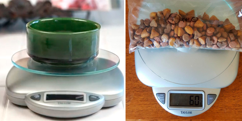 Taylor Precision Products 3842 Digital Food Scale in the use - Bestadvisor