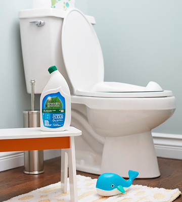 Seventh Generation Emerald Toilet Bowl Cleaner - Bestadvisor