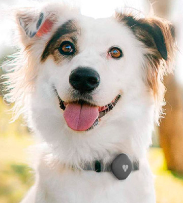 Findster GPS Tracking Collar for Dogs and Cats & Pet Activity Monitor - Bestadvisor