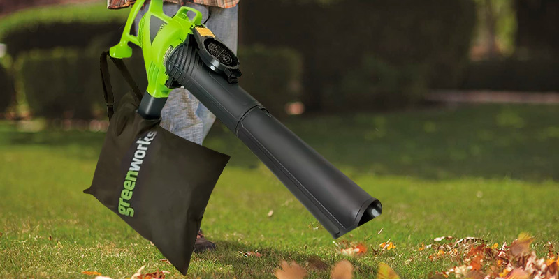 GreenWorks (24022) 12 Amp 2-Speed Leaf Vacuum Blower in the use - Bestadvisor