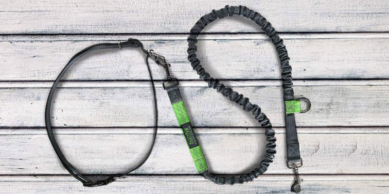 Detailed review of Mighty Paw Hands Free Grey/Lime - 36 inch Bungee - Bestadvisor