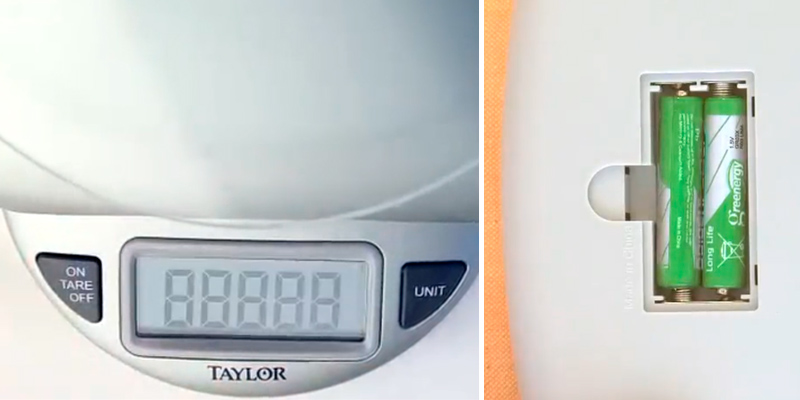 Detailed review of Taylor Precision Products 3842 Digital Food Scale - Bestadvisor