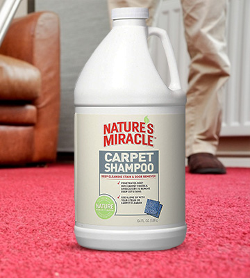Nature's Miracle P5554 Deep Cleaning Carpet Shampoo - Bestadvisor