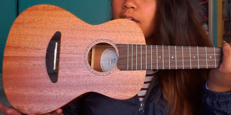 Review of Donner Concert Mahogany DUC-1 Ukulele
