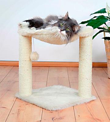 TRIXIE Pet Products Baza Cat Tree - Bestadvisor