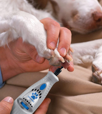 Dremel 7300-PT 4.8V Cordless Pet Dog Nail Grooming & Grinding Tool - Bestadvisor
