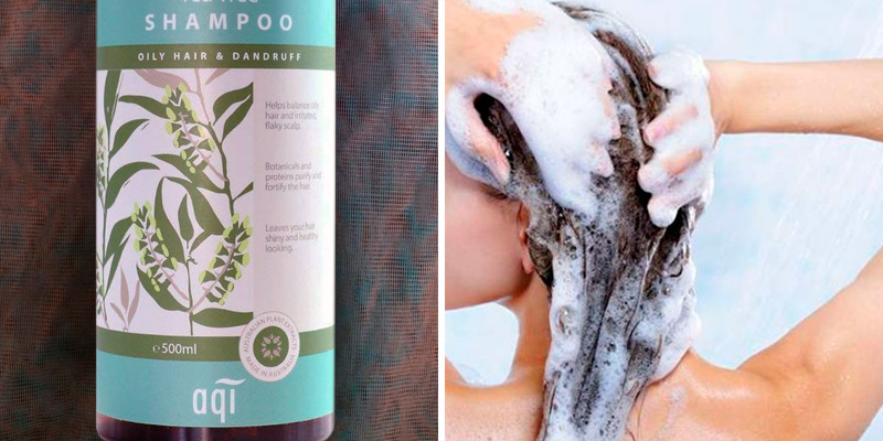 Review of aqi Tea Tree Shampoo For Oily Hair & Irritated Flaky Scalp
