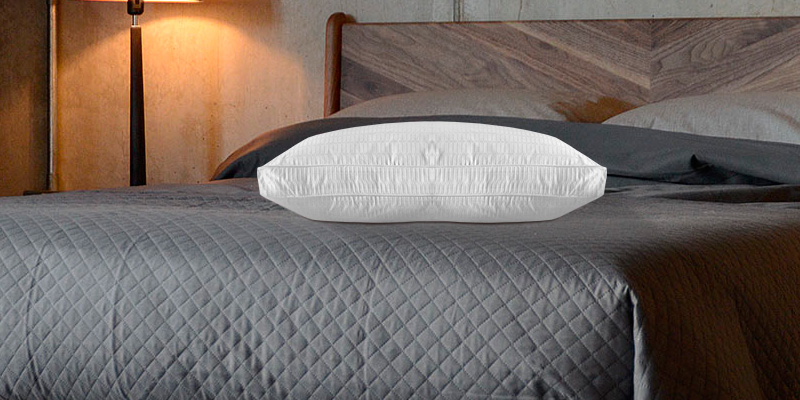 Review of Basic Beyond 2 Pack Luxury Gusseted Goose Down Feather Pillow