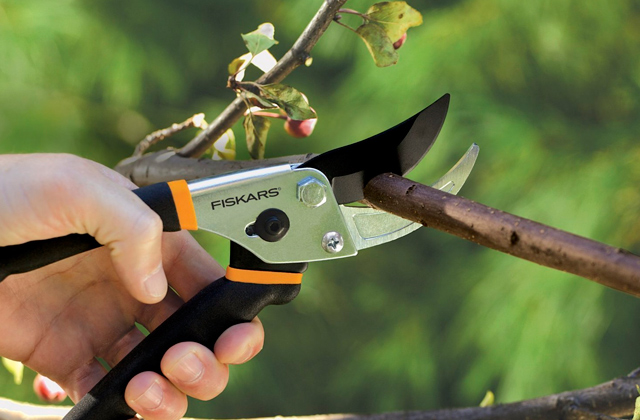 Comparison of Pruning Shears for Precision Pruning Tasks