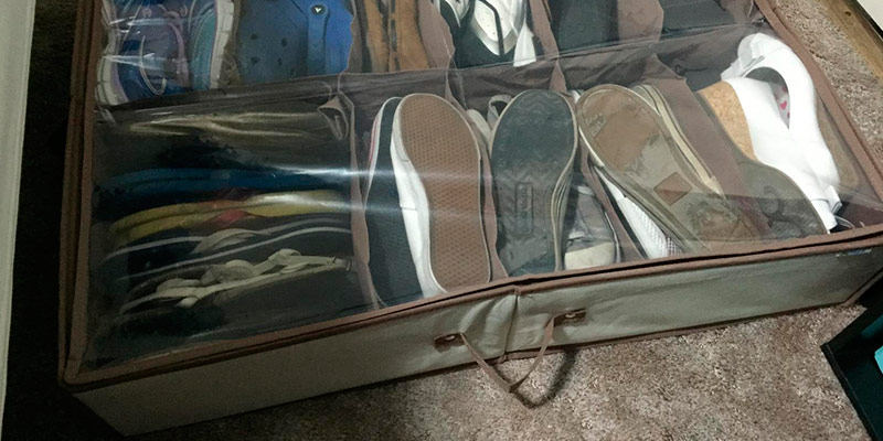 Review of PROMART Underbed Shoe Storage