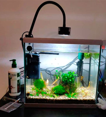 Lominie LED Asta 20 Freshwater Aquarium Light - Bestadvisor