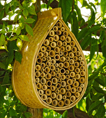 Review of Gardener's Supply Company Mason Bee House Wiker, Bamboo