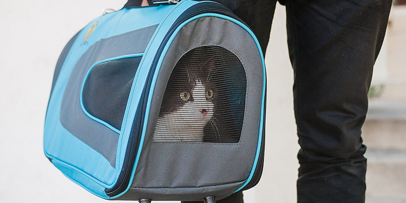 Review of Pet Magasin BlueCarrier001 Soft-Sided Cat Carrier