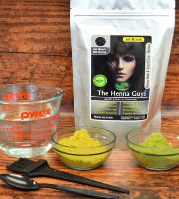 The Henna Guys Jet Black Henna Hair Color/Dye - Bestadvisor