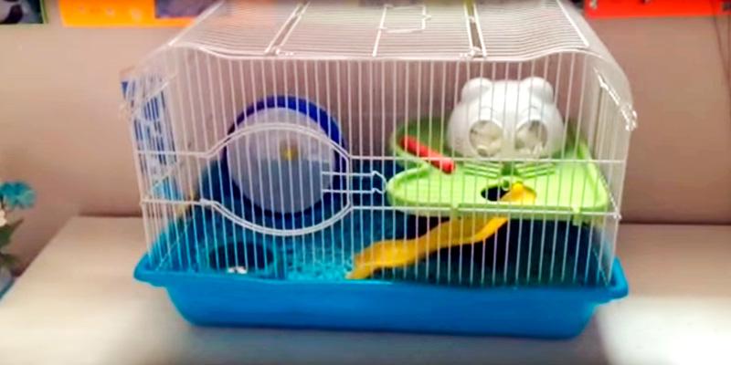Prevue Pet Products SP2005BL Hamster Haven in the use - Bestadvisor