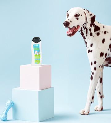 Particular Paws Hypoallergenic Dog and Cat Shampoo - Bestadvisor