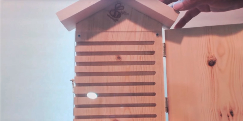 Review of The Bees Waggle Mason Bee House for Solitary Bees with Viewing Window