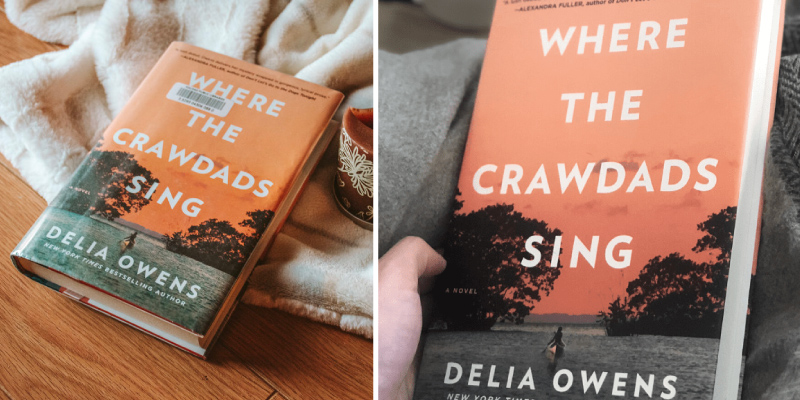 Delia Owens Where the Crawdads Sing in the use - Bestadvisor