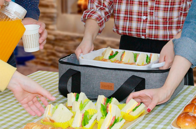 Comparison of Insulated Casserole Carriers
