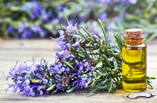 Best Massage Oils for Total Relaxation  
