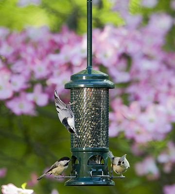 Review of Brome 1057-V01 Squirrel Buster Standard Wild Bird Feeder with 4 Metal Perches