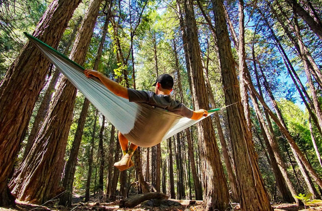 Comparison of Hammocks for Total Relaxation
