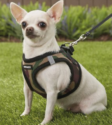 Best Pet Supplies Voyager Step-in Air Dog Harness - Bestadvisor