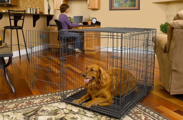 Comparison of Pet Cages and Crates