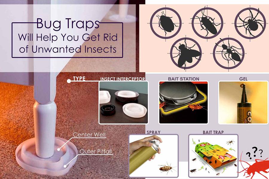 Comparison of Bug Traps to Help You Get Rid of Insects