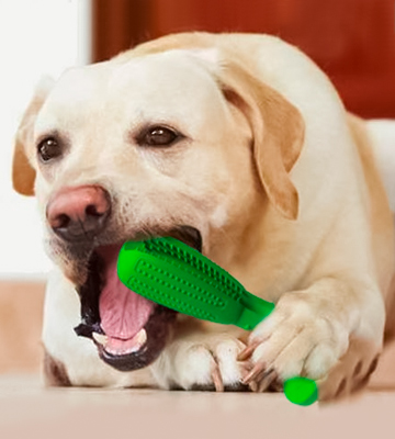 Wisedom Dog Toothbrush Stick-Puppy Effective Doggy Teeth Cleaning Massager - Bestadvisor