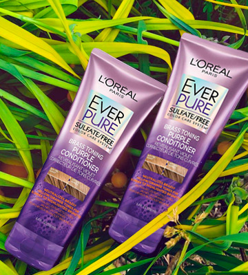 L'Oreal Paris Hair Care EverPure Sulfate Free Brass Toning Purple Conditioner for Blonde, Bleached, Silver, or Brown Highlighted Hair - Bestadvisor