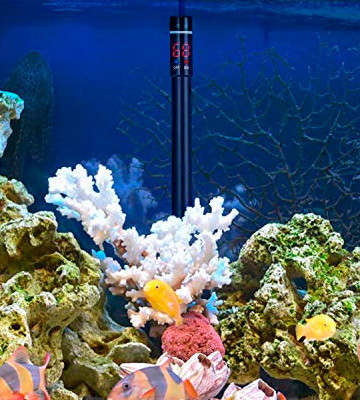 VIVOSUN Aquarium Heater 300W Submersible Titanium Fish Tank Heaters - Bestadvisor