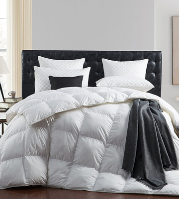Egyptian Bedding 5155747 Luxurious 1200 Thread Count Goose Down Comforter , King Size - Bestadvisor
