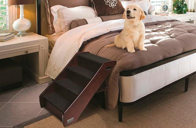 Best Pet Ramps and Stairs  