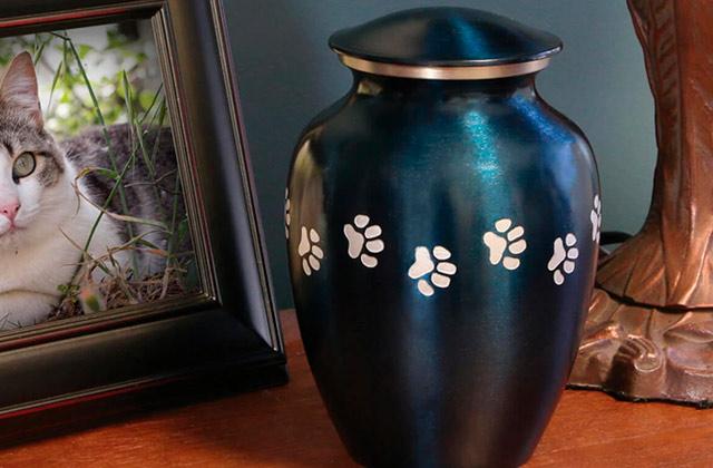 Best Pet Urns for Dogs and Cat Ashes  
